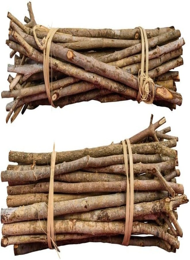 CZ Grain Willow Mega Munch Sticks for Rabbits Chinchilla Guinea Pigs - Small Animal Treat Chew Toys (25 Sticks)